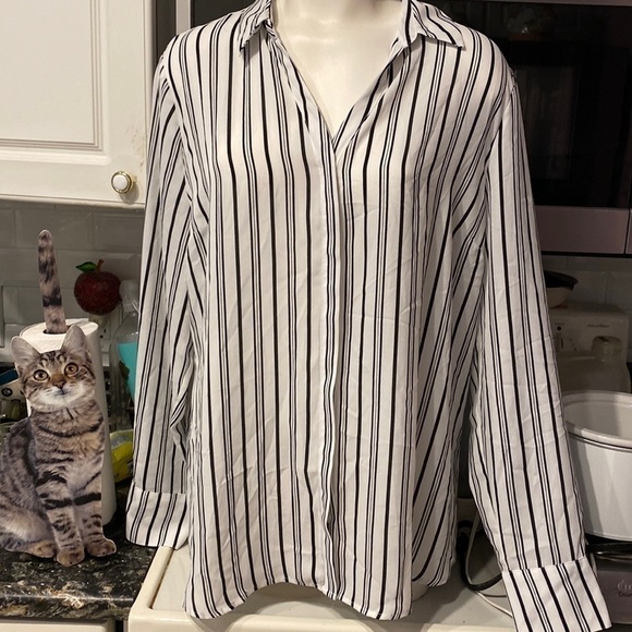 U womens Worthington striped long sleeve button down plus size blouse XXLT - Picture 1 of 4